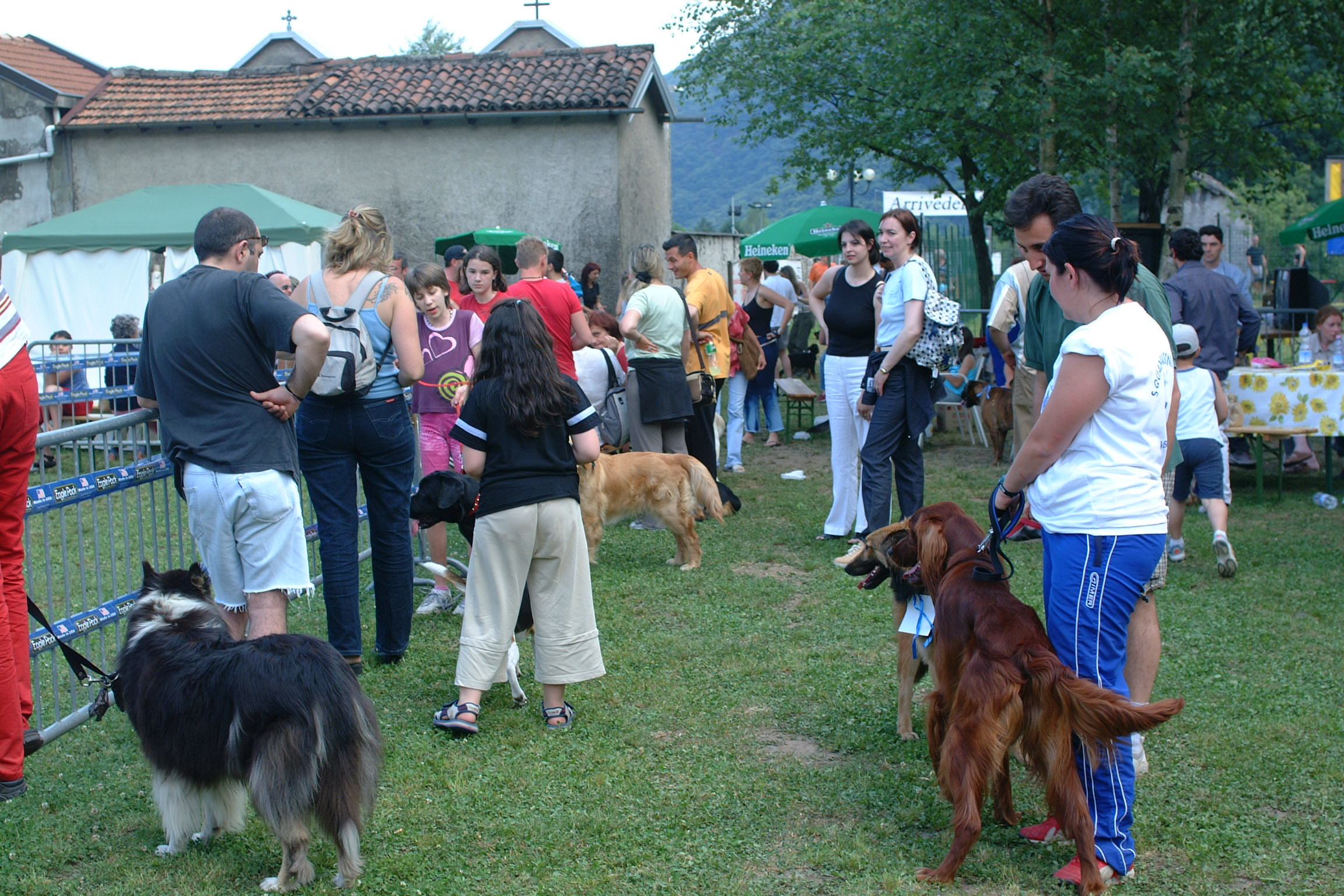 corsi